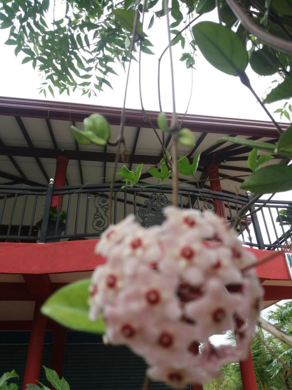 Peacock Villa Resort Udawalawe Luaran gambar